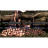 Advanced Catalyst Systems Platinum Bright Embers - 5 Gram Kit For Vented Gas Fireplaces & Log Sets (Up To 42")